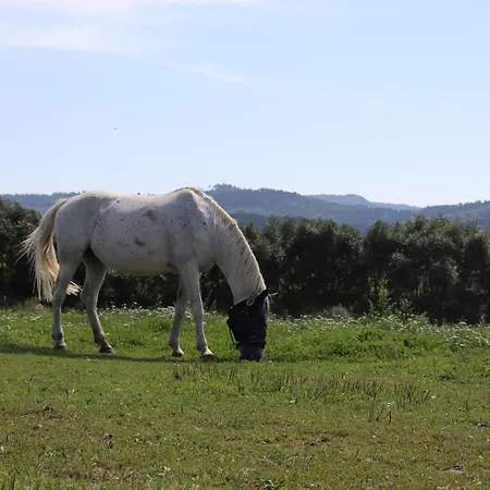 Agro Zula