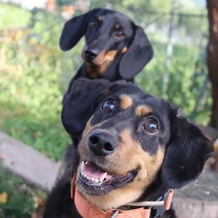 Agro Zula * Hrabušice