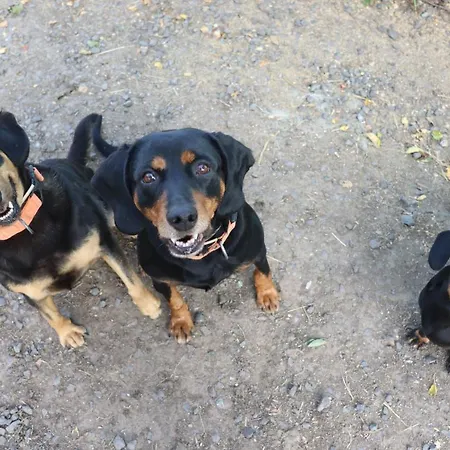 Agro Zula * Hrabušice