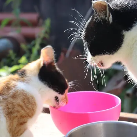 Apartament Agro Zula Hrabušice