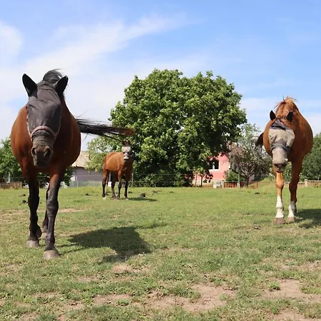 Agro Zula Apartament