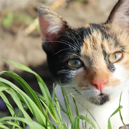 Apartamento Agro Zula Hrabušice