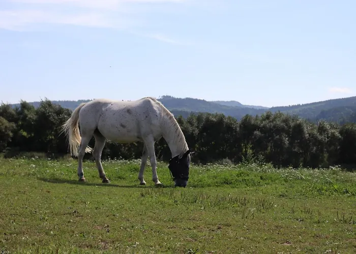 Agro Zula