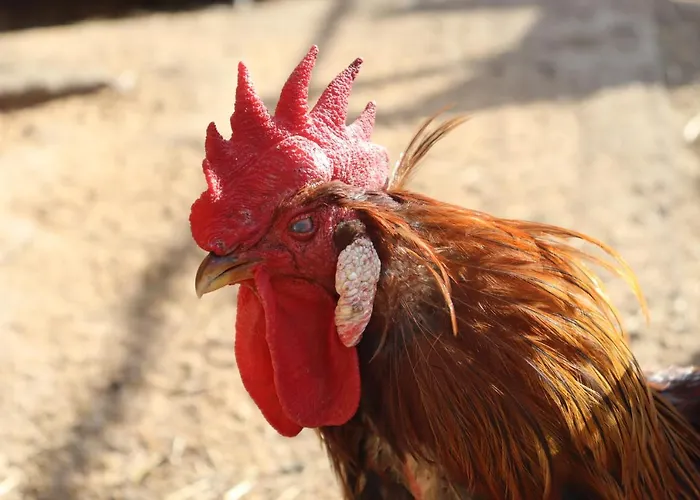 Agro Zula * Hrabušice